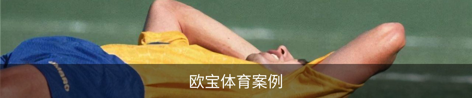 欧宝体育案例
